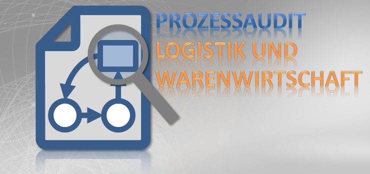 Prozessaudit Checkliste Logistik Warenwirtschaft