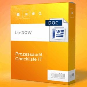 prozessaudit checkliste it