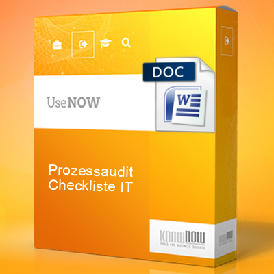 prozessaudit checkliste it